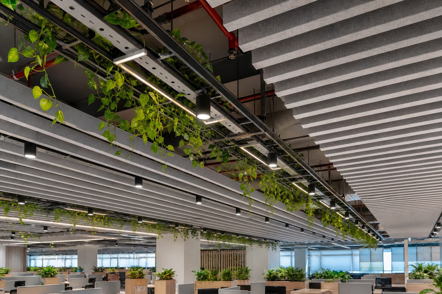 Biophilic Trellis Ceiling, Trailing Planters